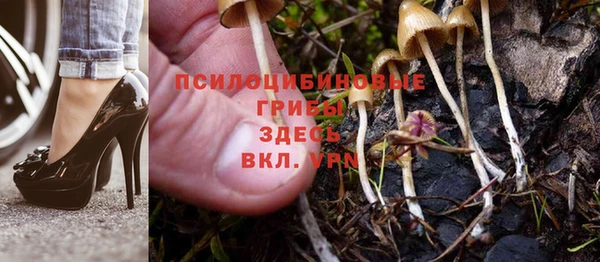 мет Алзамай